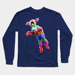 Crazy Rainbow Cockapoo Long Sleeve T-Shirt